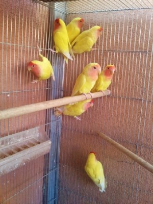 Photo023 (Large).jpg