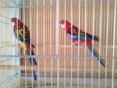 Photo019 (Large) (2).jpg