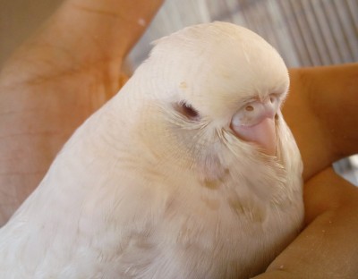 Photo026 (Large).jpg