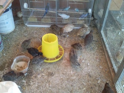 Photo020 (Medium).jpg