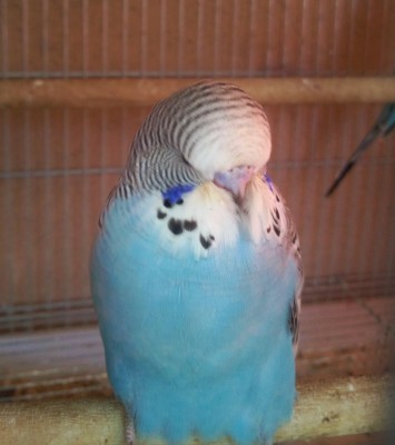 Photo029 (Large).jpg