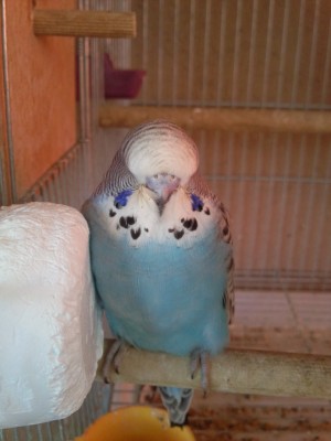 Photo034 (Large).jpg