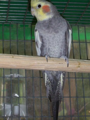100_0725 new.JPG