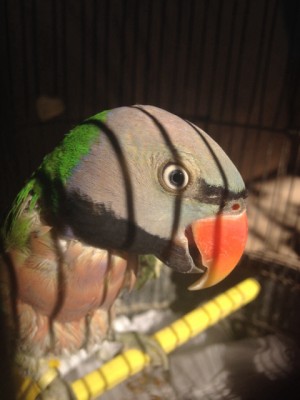 ImageUploadedByTapatalk1407871575.680185.jpg
