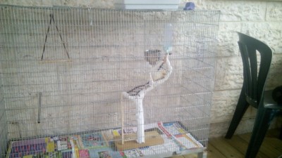 הוילה החדשה! :-)