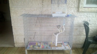 עוד תמונות..