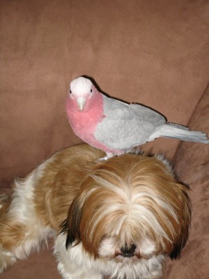 IMG_2548_1.JPG