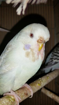 20141118_171858 (Large).jpg