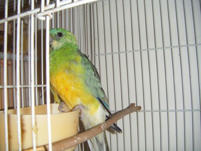 DSCF1089.JPG