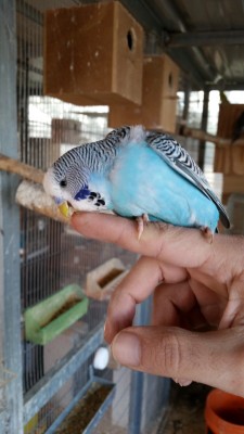 20141223_143328 (Medium).jpg