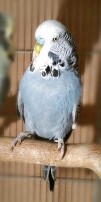 PicsArt_1419529034894 (Medium).jpg