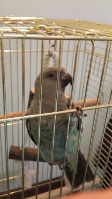 20150110_151204.jpg
