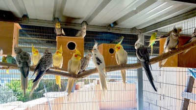 2015-04-06_11.36.01 (Medium).jpg