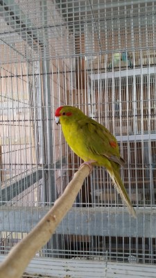 20150309_152124 (Medium).jpg