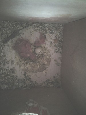 הנה.. איך נראה?