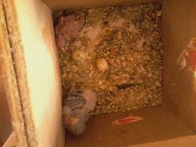 תמונה מעכשיו