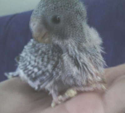 צולם ב-20.7 (לפני יומיים)