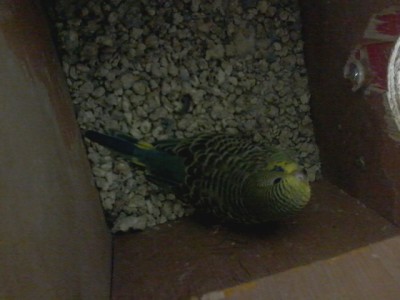 והקטן שבתא לפעמים גם מציץ (: