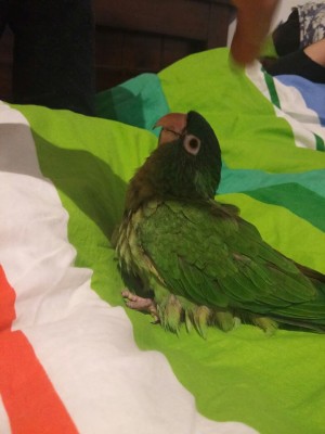 אייפון 084 (2).JPG