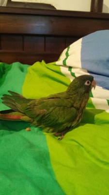 אייפון 092 (3).JPG