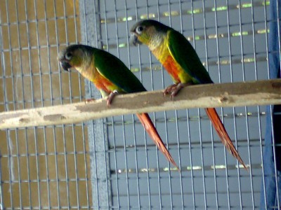 23042008769.JPG