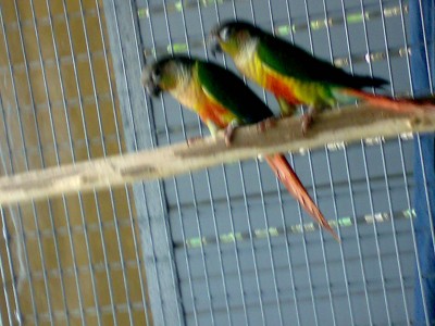 23042008771.JPG