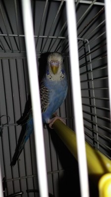 מעכשיו פשוט היה במצלמה פלאש בטעות