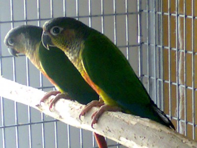 23042008774.JPG