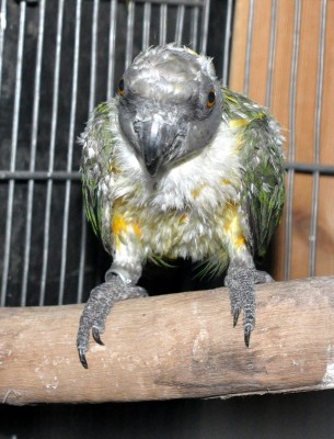 DSC_0033.JPG