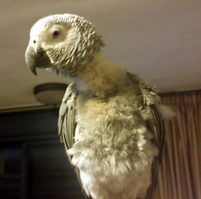 20160207_204259.jpg