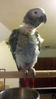 20160207_204431.jpg