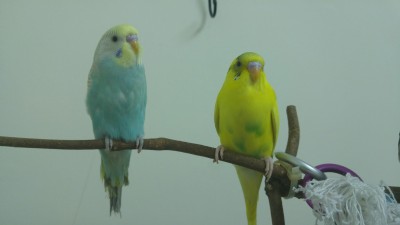 20170227_164620.jpg