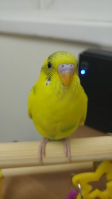 20170301_153442.jpg