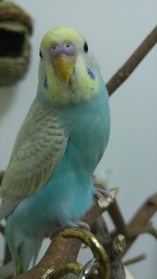 20170301_221904.jpg