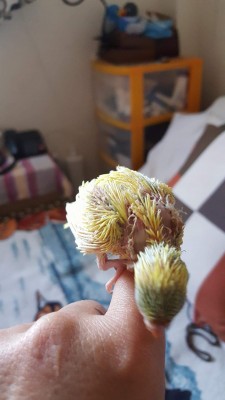 37F170EF-2F59-44C4-AEA8-10025A31E5F8.jpeg