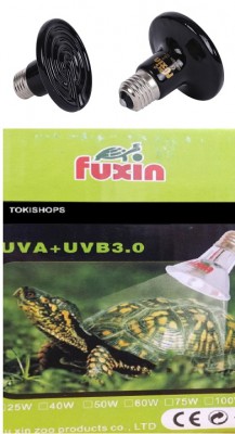 נורות חימום.jpg