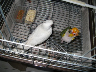 IMG_2575_1.JPG