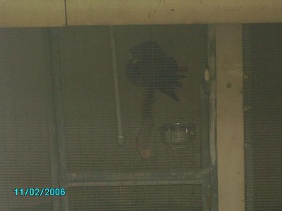 PICT0052.JPG