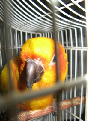 IMG_2608_1.JPG