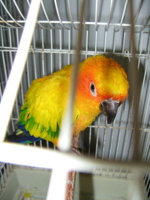 IMG_2614_1.JPG