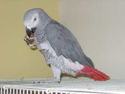 IMG_0542.JPG