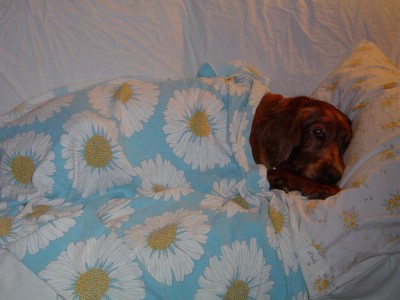 טוטסי לא מתנגדת גם לשכב ככה