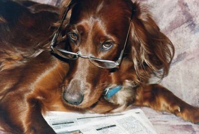 היא לא רק יפה, היא גם אינטליגנטה ה ה ה