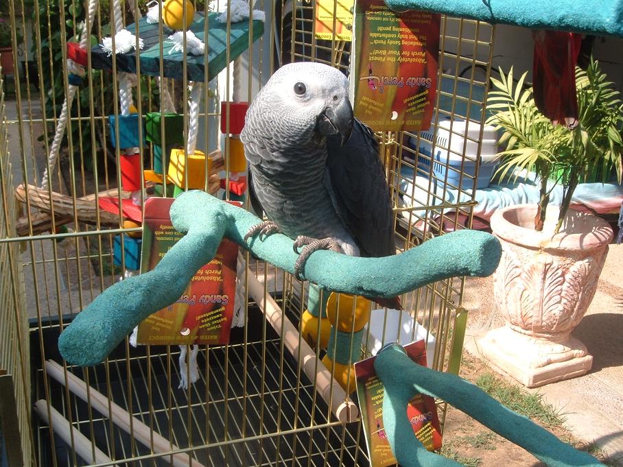 DSCF4168.JPG
