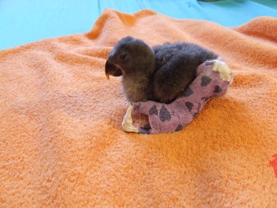 החזיקו לי אצבעות להצלחתי