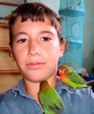 אני עם הגוזלים