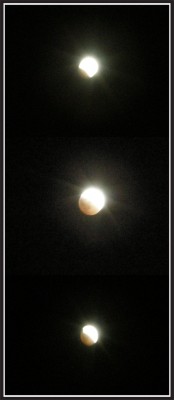l1.jpg