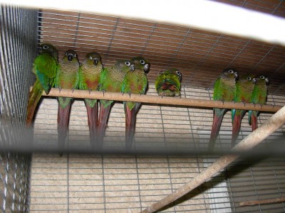 צ'קים 08 023.jpg