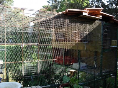 נובמבר 055.jpg