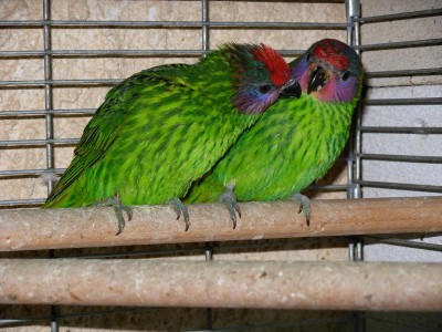 נובמבר 007.jpg